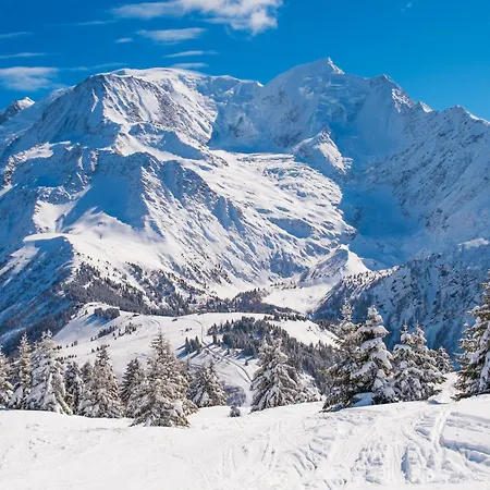 Apartment Des Houches - Happy *